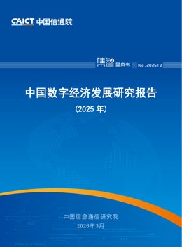 中国数字经济发展研究报告（2025年）